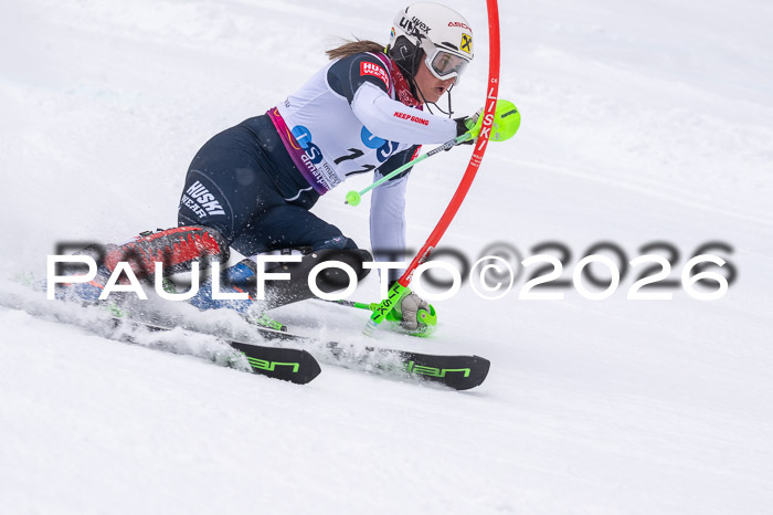 NC SL ,Frauen + Männer Axamer Lizum 29.03.2026