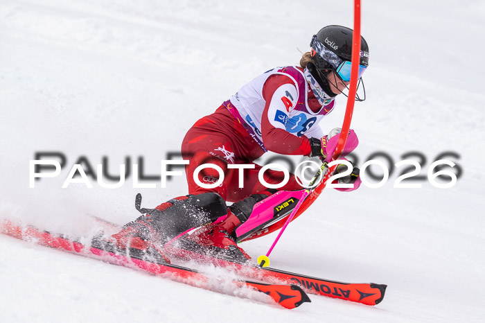 NC SL ,Frauen + Männer Axamer Lizum 29.03.2026