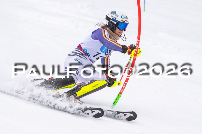 NC SL ,Frauen + Männer Axamer Lizum 29.03.2026