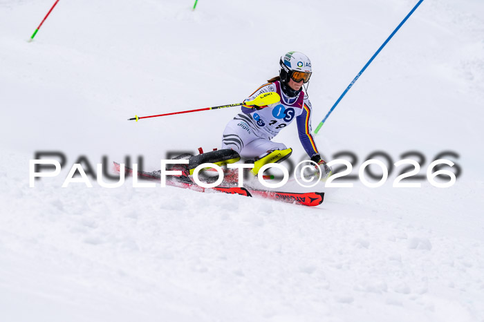 NC SL ,Frauen + Männer Axamer Lizum 29.03.2026