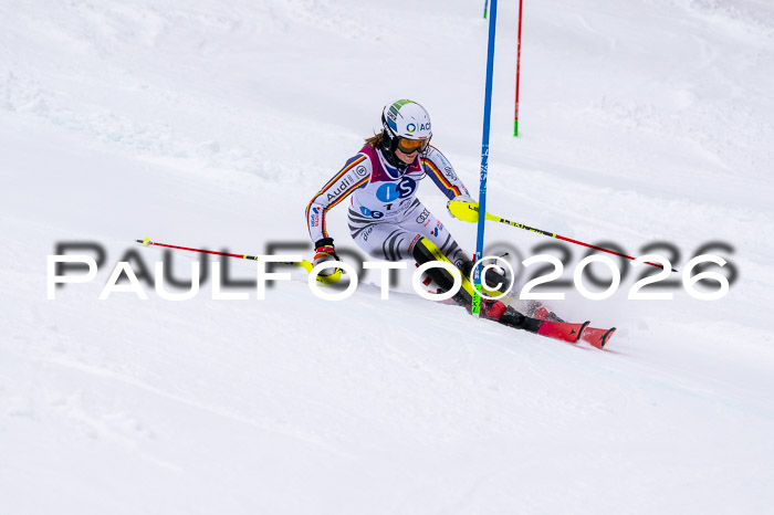 NC SL ,Frauen + Männer Axamer Lizum 29.03.2026