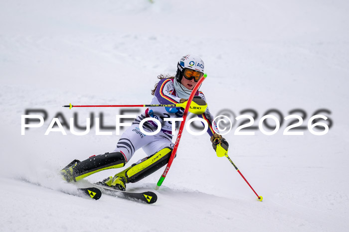 NC SL ,Frauen + Männer Axamer Lizum 29.03.2026