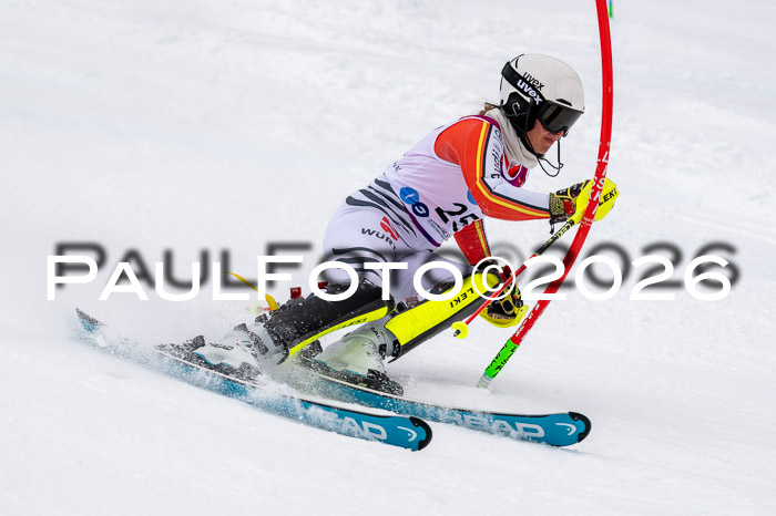 NC SL ,Frauen + Männer Axamer Lizum 29.03.2026