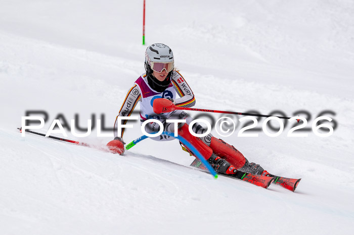 NC SL ,Frauen + Männer Axamer Lizum 29.03.2026