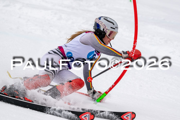 NC SL ,Frauen + Männer Axamer Lizum 29.03.2026