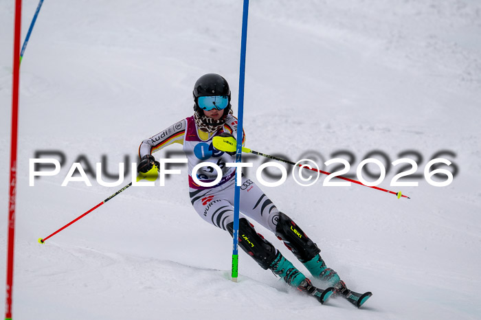 NC SL ,Frauen + Männer Axamer Lizum 29.03.2026