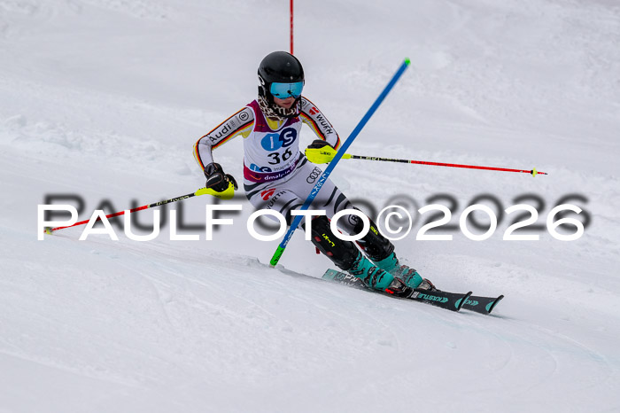 NC SL ,Frauen + Männer Axamer Lizum 29.03.2026