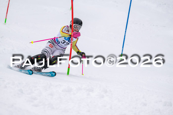 NC SL ,Frauen + Männer Axamer Lizum 29.03.2026