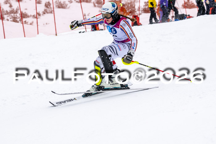 NC SL ,Frauen + Männer Axamer Lizum 29.03.2026