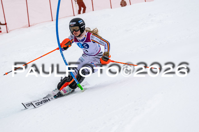 NC SL ,Frauen + Männer Axamer Lizum 29.03.2026