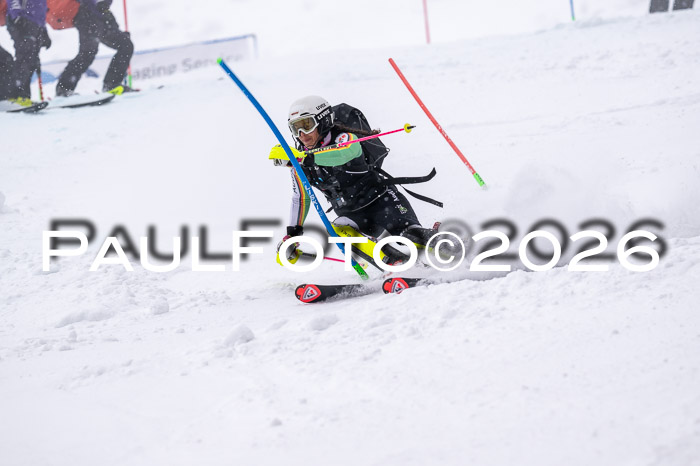 NC SL ,Frauen + Männer Axamer Lizum 29.03.2026