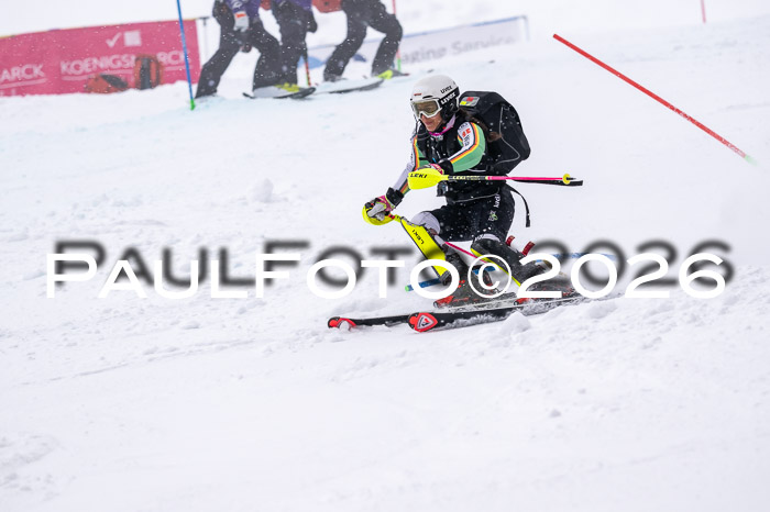 NC SL ,Frauen + Männer Axamer Lizum 29.03.2026