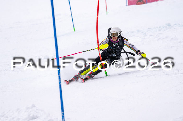 NC SL ,Frauen + Männer Axamer Lizum 29.03.2026