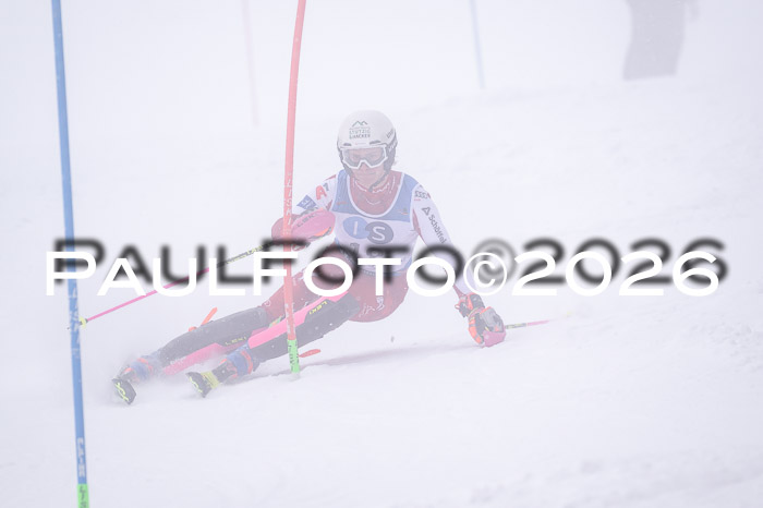 NC SL ,Frauen + Männer Axamer Lizum 29.03.2026