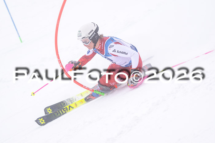 NC SL ,Frauen + Männer Axamer Lizum 29.03.2026