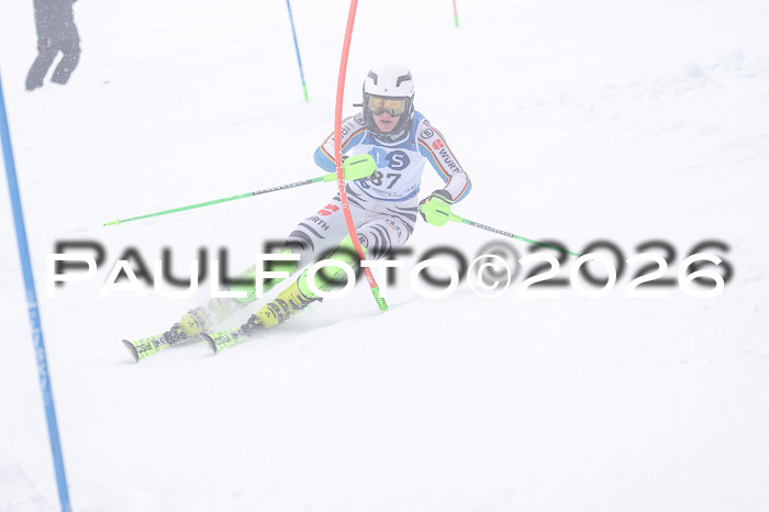 NC SL ,Frauen + Männer Axamer Lizum 29.03.2026