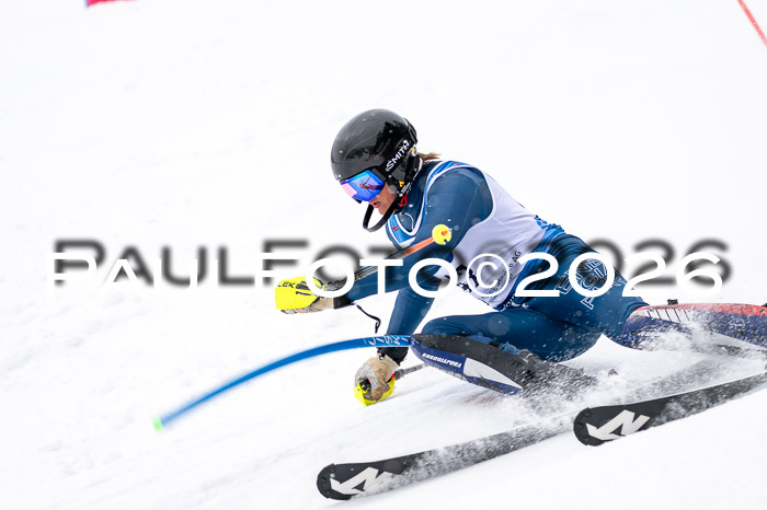 NC SL ,Frauen + Männer Axamer Lizum 29.03.2026