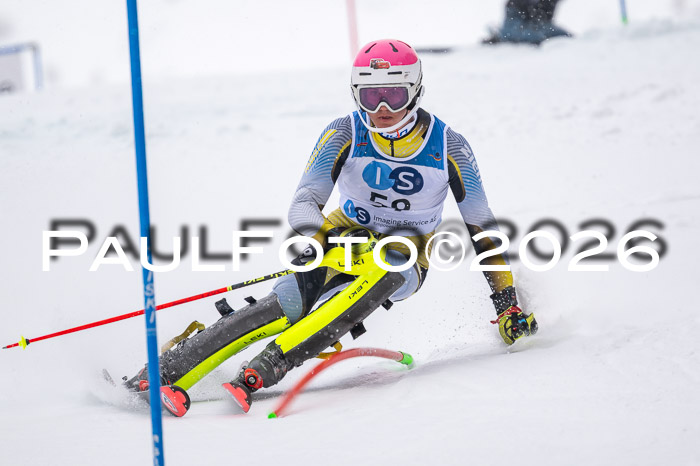 NC SL ,Frauen + Männer Axamer Lizum 29.03.2026