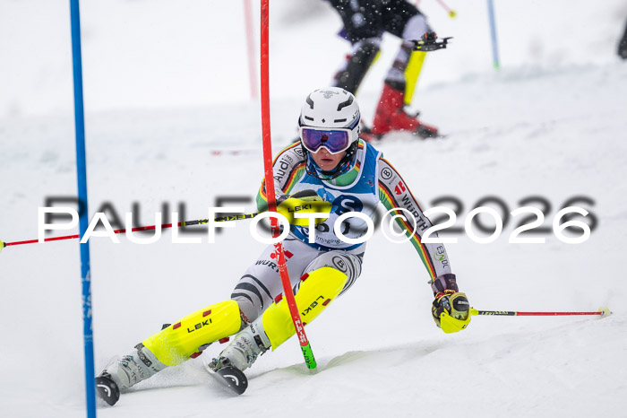 NC SL ,Frauen + Männer Axamer Lizum 29.03.2026