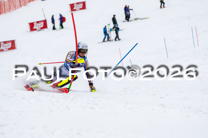 NC SL ,Frauen + Männer Axamer Lizum 29.03.2026