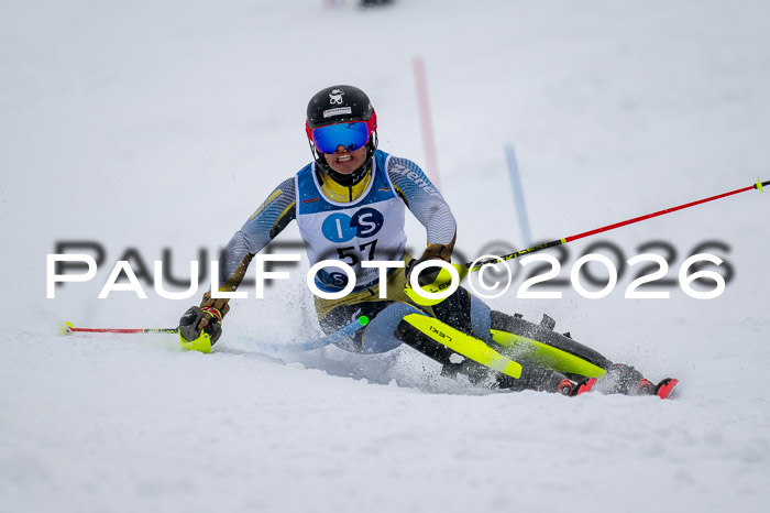 NC SL ,Frauen + Männer Axamer Lizum 29.03.2026